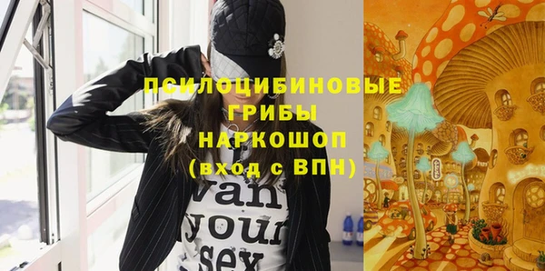 дурь Алзамай
