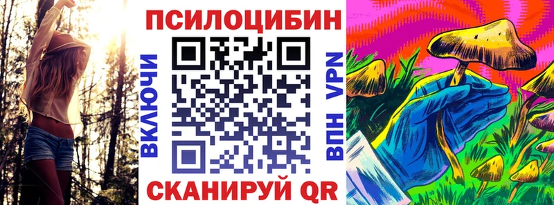 мега сайт  Михайловск  Псилоцибиновые грибы Psilocybine cubensis 