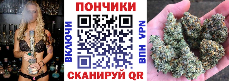 Шишки марихуана White Widow  хочу наркоту  Михайловск 